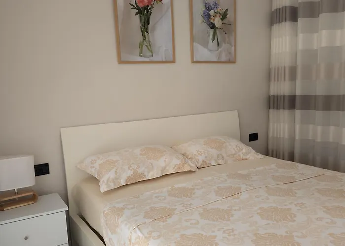 Small Near The Olimpik Park * ティラナ